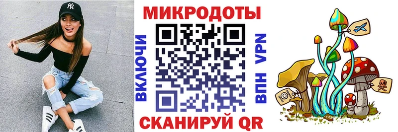 сколько стоит  Жердевка  Галлюциногенные грибы прущие грибы 